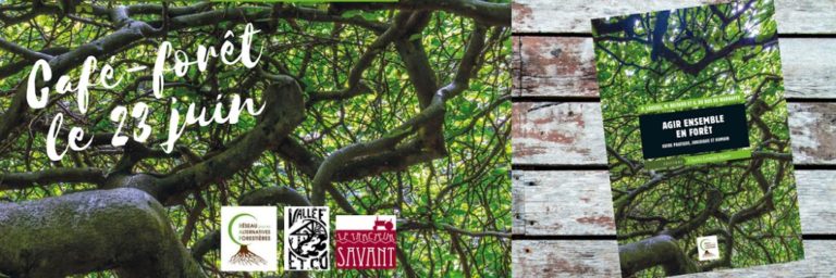 Lire la suite à propos de l’article Café Forêt du 23 juin
