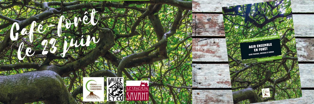 You are currently viewing Café Forêt du 23 juin